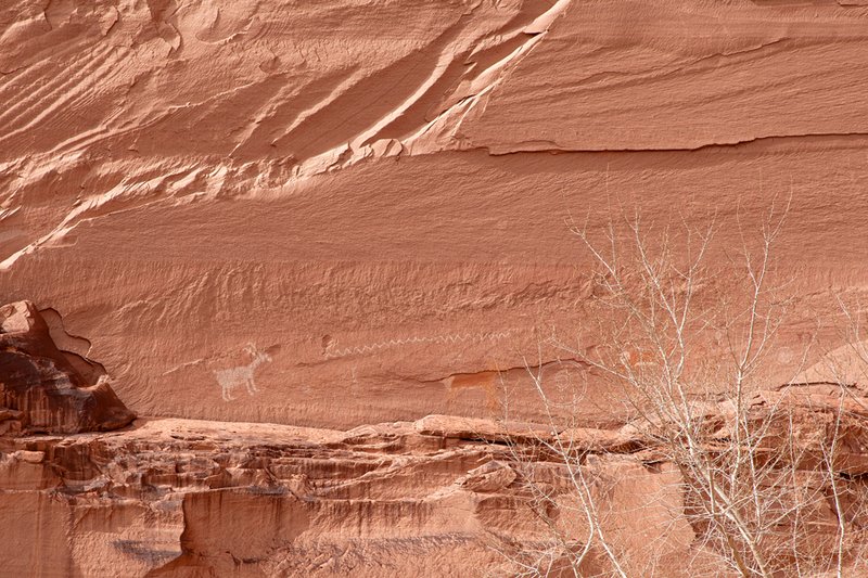 Canyon de Chelly Antelope Petroglyphs I.jpg :: Catalogue No. 869

Image Size:        20X30 in. on Canvas
