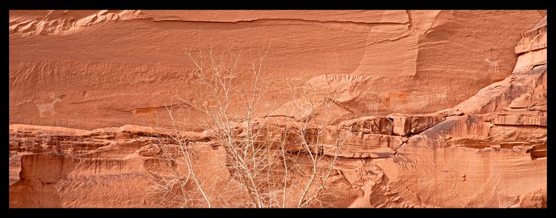 Canyon de Chelly Antelope Petroglyphs II.jpg :: Catalogue No. 871

Image Size:       20X54 in. on Canvas
