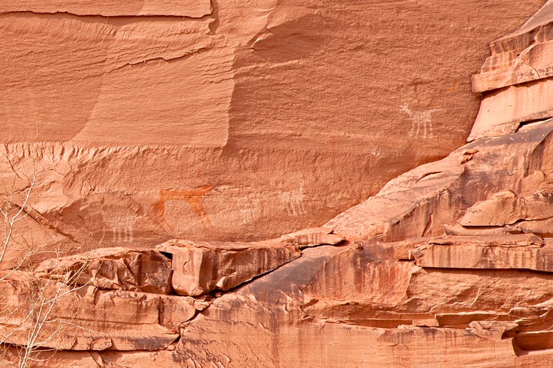 Canyon de Chelly Antelope Petroglyphs III.jpg :: Catalogue No. 870

Image Size:       20X30 in. on Canvas
