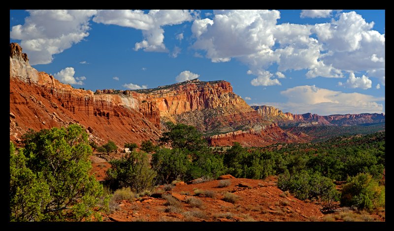 Capital Reef South.jpg :: Catalogue No. 754

Image Size:  22X39 in. on Canvas

IN THE MUSEUM COLLECTION OF & ON DISPLAY IN  CAPITOL REEF NATIONAL PARK

            