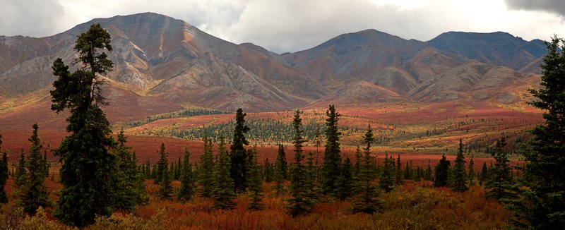 Denali Autumn I RI.jpg :: Catalogue No. 533

Image Size:   22X52 in. on Canvas

IN THE MUSEUM COLLECTION OF DENALI NATIONAL PARK & ON DISPLY IN THE OFFICE OF THE DIRECTOR OF THE ALASKA REGION OF THE NPS

IN THE MUSEUM COLLECTION AND ON DISPLAY IN THE DEPARTMENT OF THE INTERIOR WASHINGTON, DC