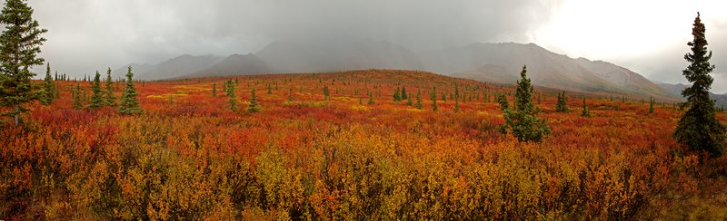 Denali Rain Squall RI.jpg