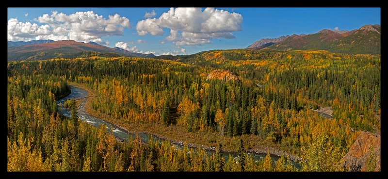 Denali Riley Creek Autumn I.jpg :: Catalogue No. 546

Image Size:   22X50 in. on Canvas
