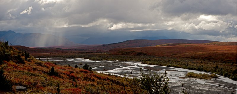 Denali Savage River Panorama1.jpg