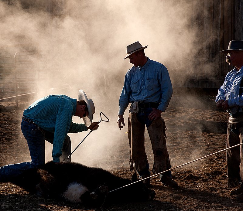 Fall Roundup.jpg :: Catalogue No. 972

Image Size:   20X24 in. on Art Paper or Canvas
