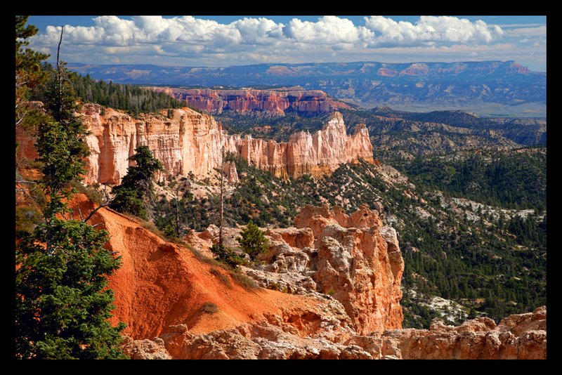 Far View Vista I Bryce Canyon.jpg :: Catalogue No. 740

Image Size:   22X34 in. on Canvas
              
