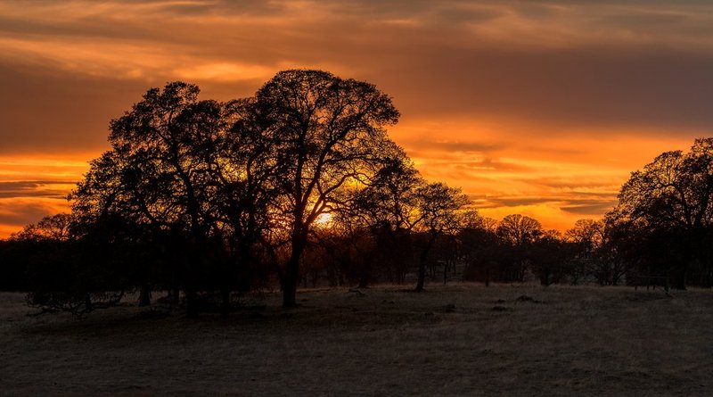 Foothills Sunset Marysville.jpg :: Catalogue No. 1136

Image Size:   20X36 in. on Canvas