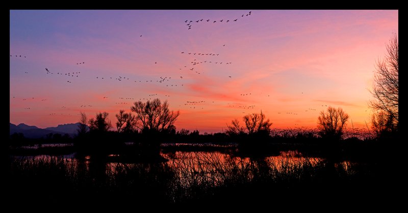 Gray Lodge Sunset X.jpg :: Catalogue No. 824

Image Size:   20X40 in. on Canvas
              16X32 in. on Canvas 
              