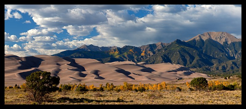 Great Sand Dunes Autumn.jpg :: Catalogue No. 734

Image Size:   22X52 in. on Canvas

IN THE MUSEUM COLLECTION & ON DISPLAY IN GREAT SAND DUNES NATIONAL PARK
