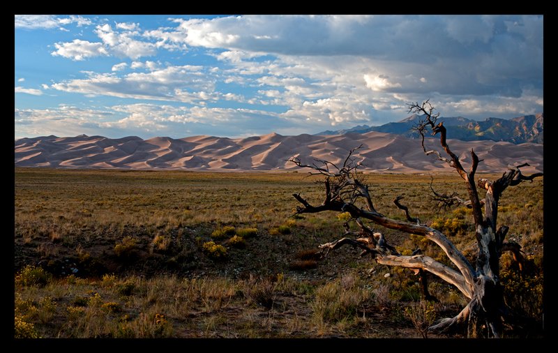 Great Sand Dunes Sunset I.jpg :: Catalogue No. 736

Image Size:   22X36 in. on Canvas


IN THE MUSEUM COLLECTION & ON DISPLAY IN GREAT SAND DUNES NATIONAL PARK