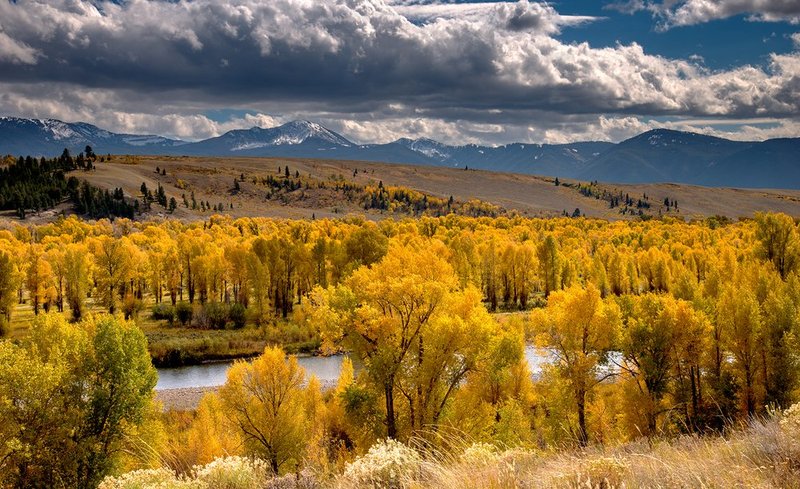 Gros Ventre River Fall II.jpg :: Catalogue No. 1152

Image Size:   25X43 in. on Canvas