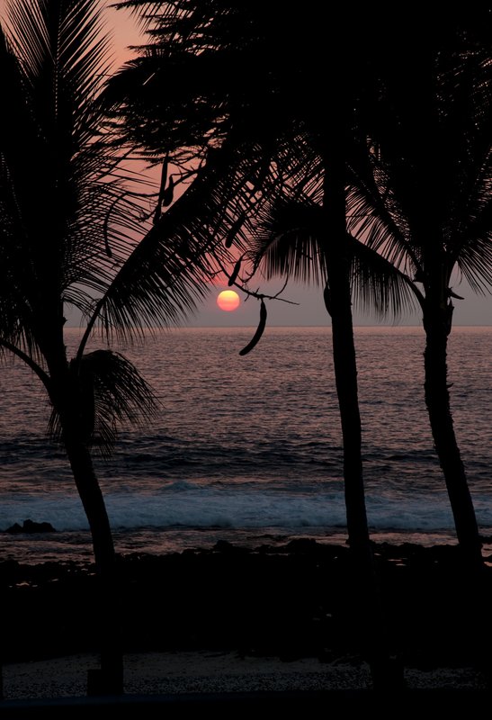 Kona Sunset III.jpg :: Catalogue No. 349

Image Size: 13X19 in. on Art Paper
             16X24 in. on Paper or Canvas
              20X30 in. on Canvas