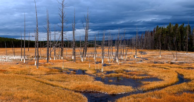 Lower Geyser Basin Panorama.jpg :: Catalogue No. 1154

Image Size:   24X42 in. on Canvas