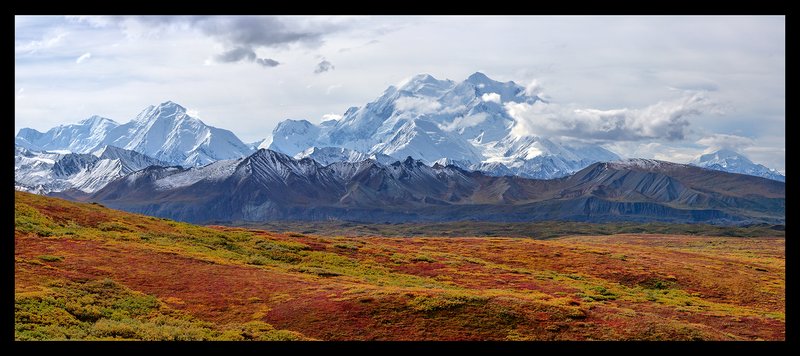 Mt McKinley Autumn V.jpg :: Catalogue No. 987

Image Size: 22X52 in. on Canvas
