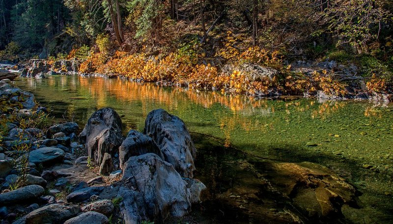 North Yuba River Fall  II.jpg :: Catalogue No. 1088

Image Size:   20X35 in. on Canvas