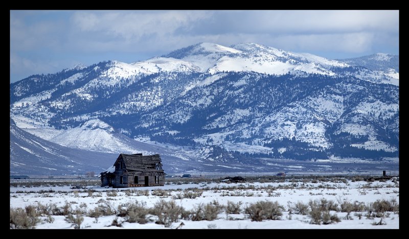 Old Farmhouse Sierra Valley  RI.jpg :: Catalogue No. 632

Image Size:         22X39 in. on Canvas
