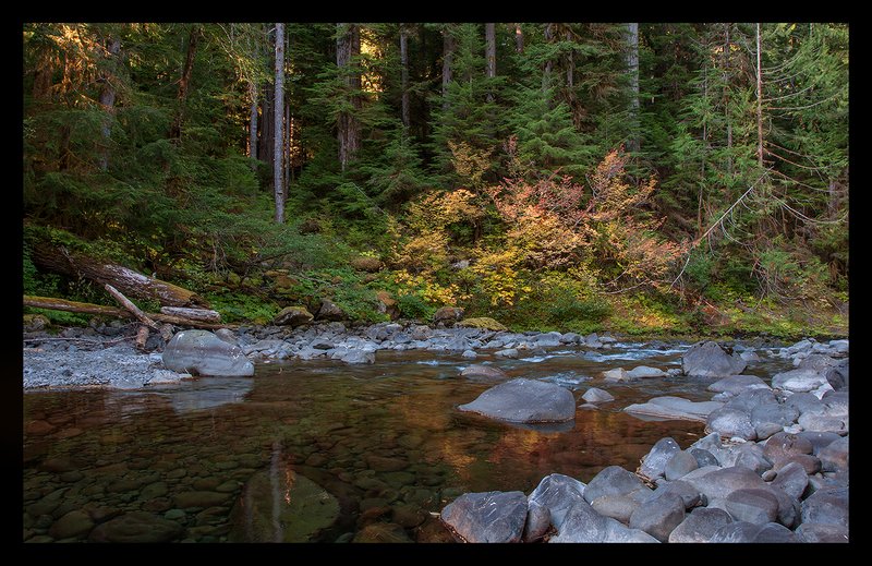 Sol Duc River VII.jpg :: Catalogue No. 948

Image Size:   22X35 in. on Canvas
