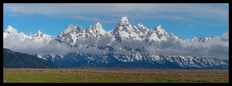 Spring Elk Migration I.jpg :: Catalogue No. 1002

Image Size:   24X68 in. on Canvas