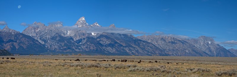 Teton Moonset Panorama II  RI.jpg :: Catalogue No. 412

Image Size:   22X65 in. on Canvas