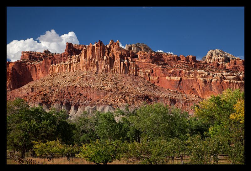 The Castle III  Capitol Reef NP.jpg :: Catalogue No. 827

Image Size:  24X36 in. on Canvas

IN THE MUSEUM COLLECTION & ON DISPLAY IN CAPITOL REEF NATIONAL PARK
