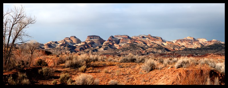 The Tanks and Golden Throne II Capitol Reef NP.jpg :: Catalogue No. 882

Image Size:  24X65 in. on Canvas
