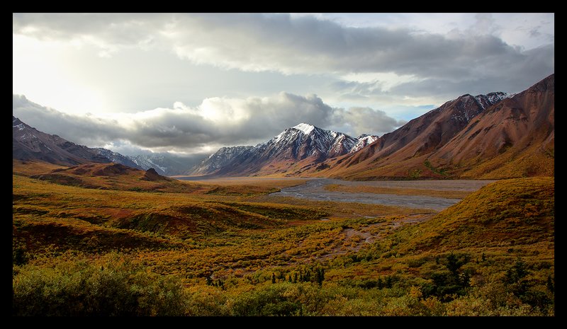 Toklat River Morning.jpg :: Catalogue No. 981

Image Size:   23X41 in. on Canvas
