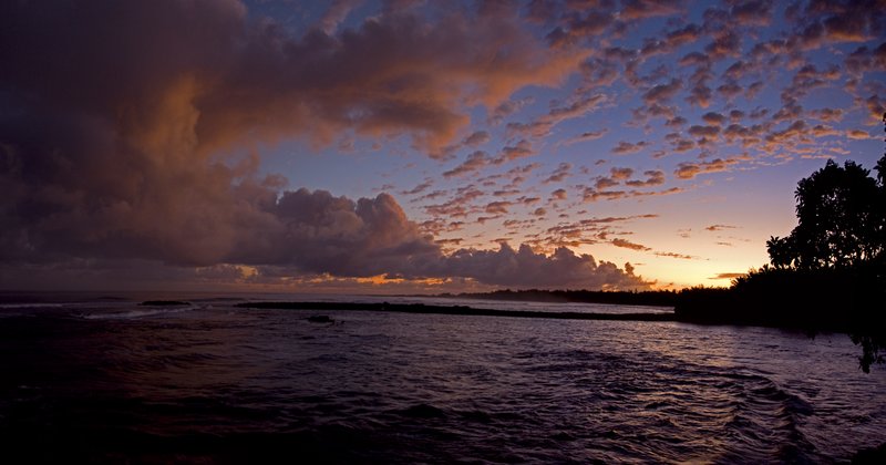 Turtle Bay Sunrise II.jpg :: Catalogue No. 356
Image Size:  20X38 in. on Canvas