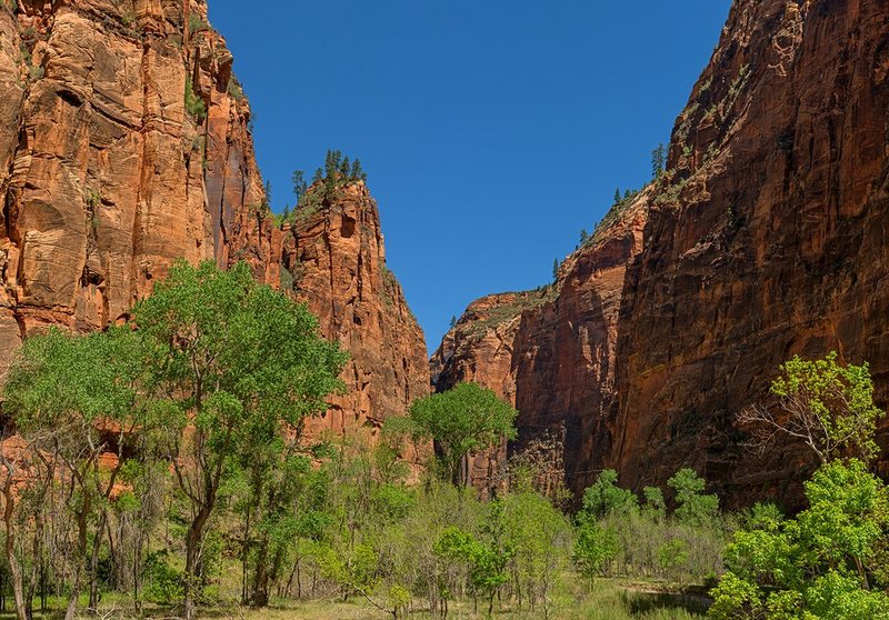 Zion Canyon III.jpg :: Catalogue No. 1089

Image Size: 30x48 in. on Canvas
