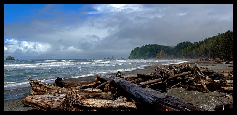 Rialto Beach V.jpg :: Catalogue No. 1225

Image Size:  25.5X54.5 in. on Canvas