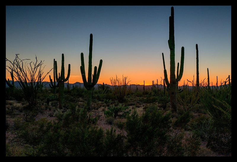 Saguaro Sunset I.jpg :: Catalogue No. 1280

Image Size:   24x36in. on Canvas

IN THE COLLECTION & ON DISPLAY IN SAGUARO NATIONAL PARK