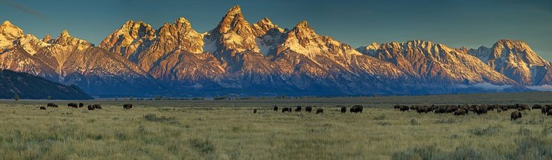 Teton Sunrise Buffalo Panorama I.jpg :: Catalogue No. 1159

Image Size:   25X86 in. on Canvas