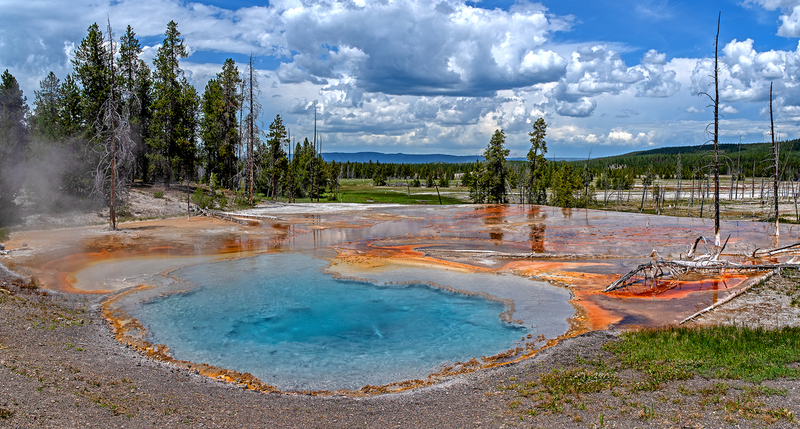 Firehole Spring III 30x56.jpg :: $900