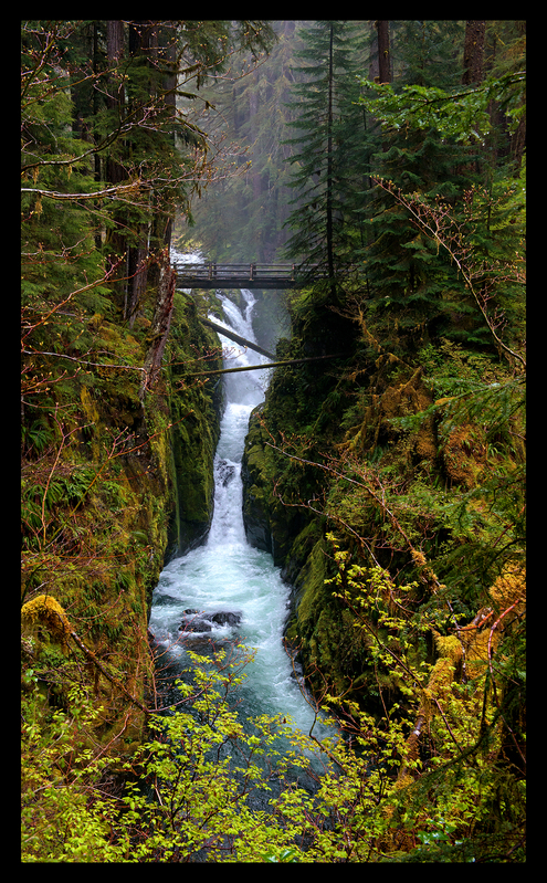 Sol Duc Falls Spring II 24x40.jpg :: $600