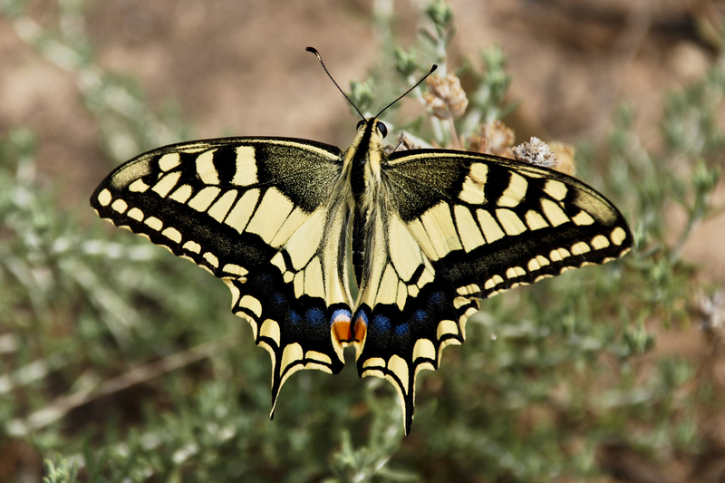 DC 07-0123-1019a.jpg