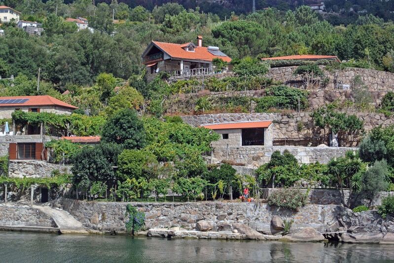 DC 22-0654-086.jpg :: Saga Douro River Cruise, Porto to Regua Lamego, River Douro: Early morning aboard the MS Douro Spirit departing Porto to Lamego. Embankment scenery, just pass the Carrapatelo Dam on route to Lamego in the Marco de Canaveses region. Photo taken 30/08/2022