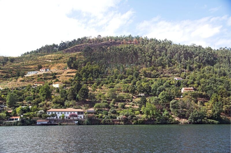 DC 22-0654-121.jpg :: Saga Douro River Cruise, Porto to Regua Lamego, River Douro: Early morning aboard the MS Douro Spirit departing Porto to Lamego. Embankment scenery on route to Lamego, passing Cinfães. Photo taken 30/08/2022