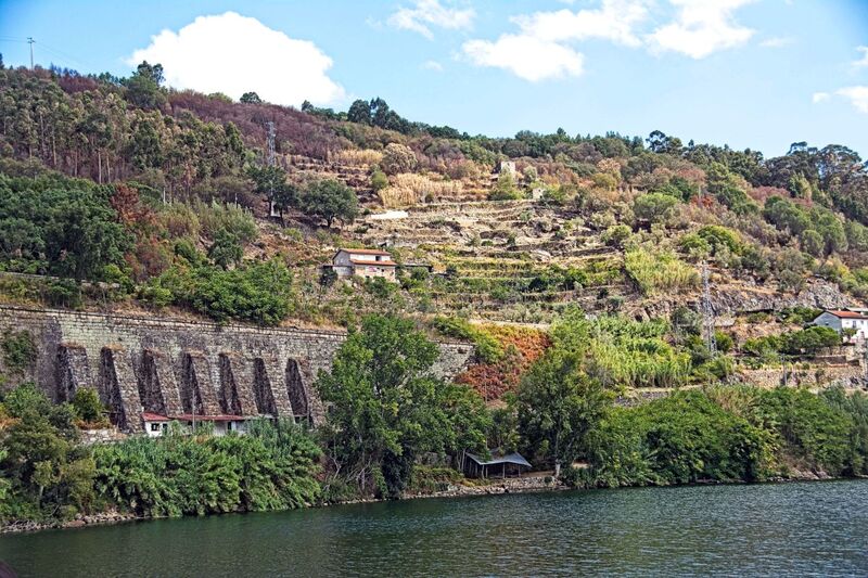 DC 22-0654-122.jpg :: Saga Douro River Cruise, Porto to Regua Lamego, River Douro: Early morning aboard the MS Douro Spirit departing Porto to Lamego. Embankment scenery on route to Lamego, passing Ribadouro. Photo taken 30/08/2022