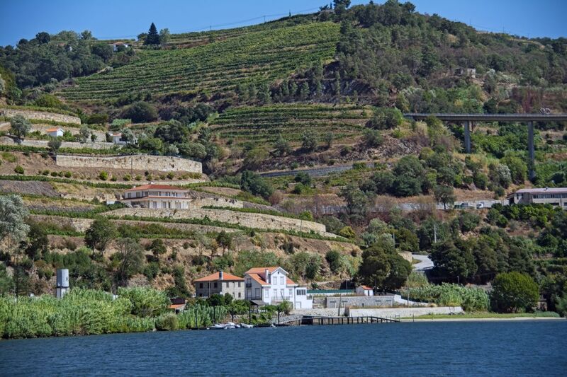 DC 22-0654-150.jpg :: Saga Douro River Cruise, Porto to Regua Lamego, River Douro: Afternoon aboard the MS Douro Spirit departing Porto to Lamego. passing by Santa Marinha do Zezera. Photo taken 30/08/2022