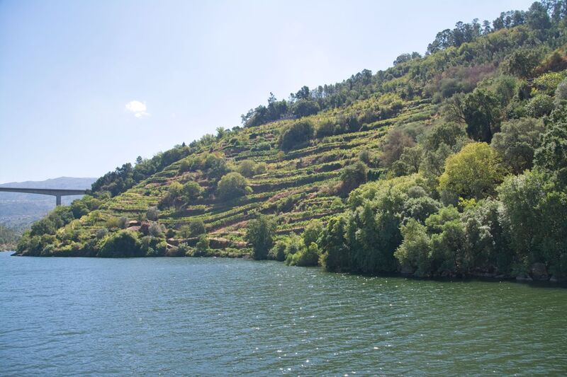 DC 22-0654-157.jpg :: Saga Douro River Cruise, Porto to Regua Lamego, River Douro: Afternoon aboard the MS Douro Spirit departing Porto to Lamego. Approaching Ponte da Ermida Resende-Baião. Photo taken 30/08/2022