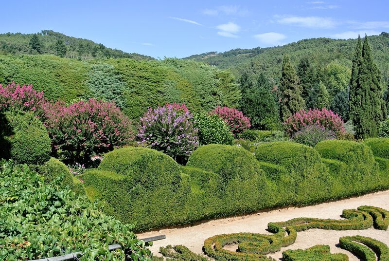 DC 22-0766-067.jpg :: Saga Douro River Cruise, Fundação da Casa de Mateus: The Mateus Palace, also known as the Solar de Mateus and Casa de Mateus, is located in the parish of Mateus, municipality of Vila Real, District of Vila Real. The leafy garden that surrounds the manor, in addition to its water mirror and boxwood areas. Photo taken 30/08/2022