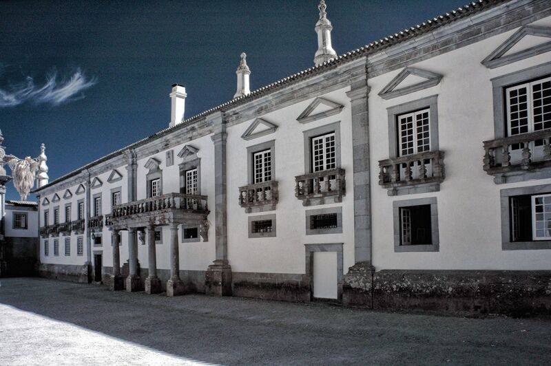 DC 22-0766-112a.jpg :: Saga Douro River Cruise, Fundação da Casa de Mateus: The Mateus Palace, also known as the Solar de Mateus and Casa de Mateus, is located in the parish of Mateus, municipality of Vila Real, District of Vila Real. The Casa de Mateus was built in the first half of the 18th century by the 3rd Morgado de Mateus, António José Botelho Mourão. The house was always administered by the Sousa Botelho family. The project for this palace was presumably designed by the architect Nicolau Nasoni. The Palace consists of the main house, the gardens, the wine cellar and a chapel. The Mateus Palace has been classified as a National Monument since 1910. Infra-Red Image. Photo taken 30/08/2022