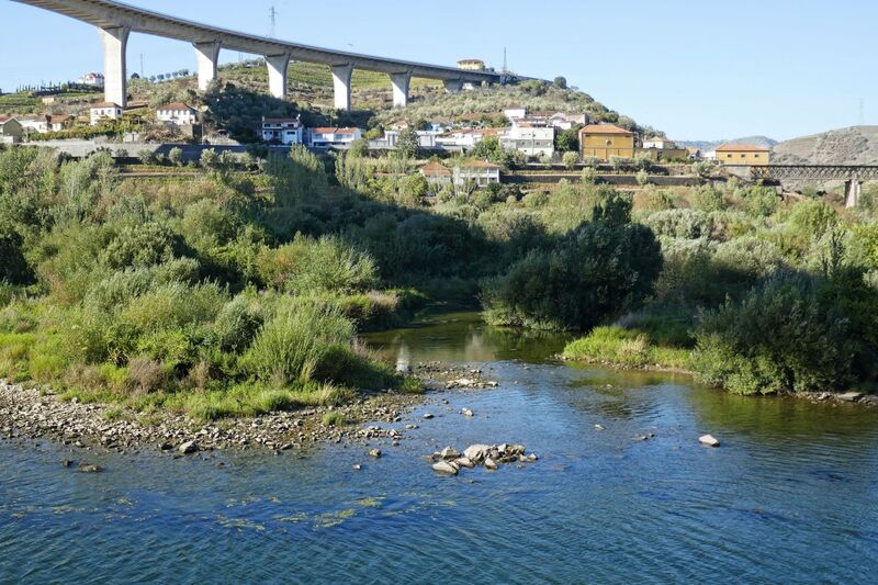 DC 22-0789-022.jpg :: Saga Douro River Cruise, Regua Lamego to Pinhao, River Douro: River shoreline of the River Douro at Peso da Regua. The Ponte Miguel Torga in the background. Photo taken 30/08/2022.