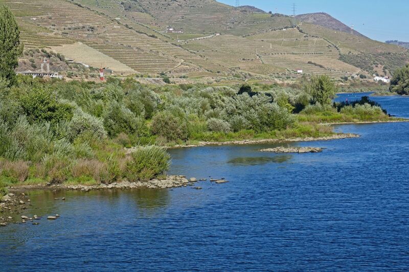 DC 22-0789-023.jpg :: Saga Douro River Cruise, Regua Lamego to Pinhao, River Douro: River shoreline of the River Douro at Peso da Regua. Photo taken 30/08/2022.