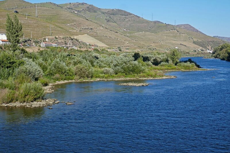DC 22-0789-024.jpg :: Saga Douro River Cruise, Regua Lamego to Pinhao, River Douro: River shoreline of the River Douro at Peso da Regua. Photo taken 30/08/2022.