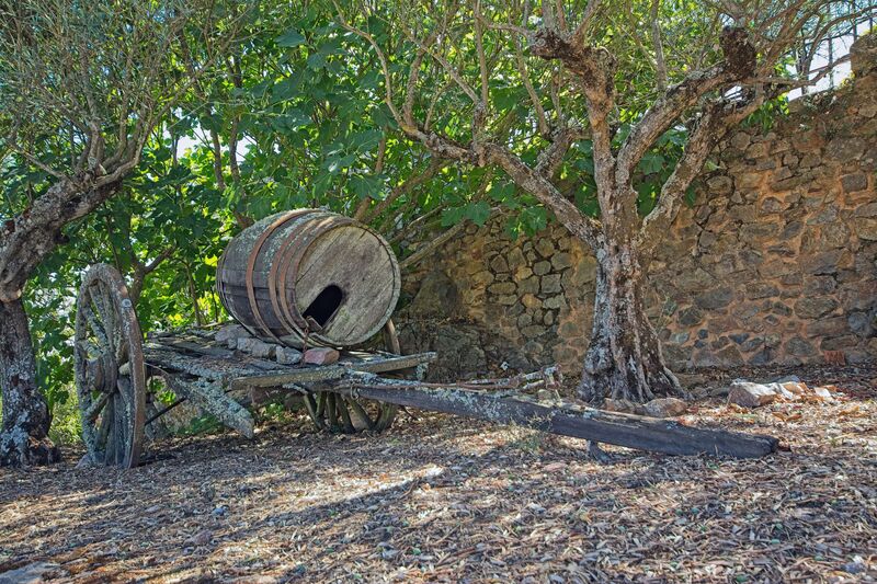 DC 22-0791-012.jpg :: Saga Douro River Cruise, Barca d'Alva, Castelo Rodrigo: Outside the castle walls, old, abandoned cart and barrel. Photo taken 31/08/2022