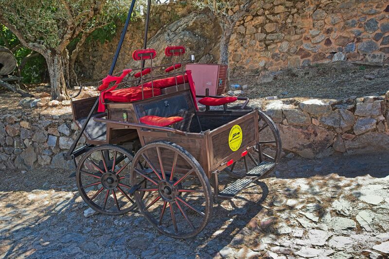 DC 22-0791-014.jpg :: Saga Douro River Cruise, Barca d'Alva, Castelo Rodrigo: Outside the castle walls, old horse carriage. Photo taken 31/08/2022