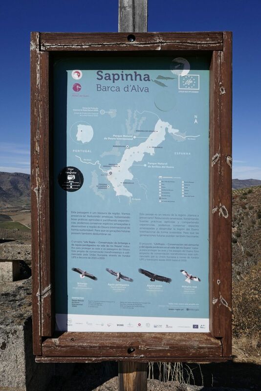 DC 22-0791-097.jpg :: Saga Douro River Cruise, Barca d'Alva, Sapinha:  Sapinha refers to the Miradouro Natural do Alto da Sapinha, a scenic viewpoint in Portugal offering views of the Douro River and its cliffs. It is a popular spot for its impressive, sweeping vistas, which are especially beautiful for birdwatching and visualizing the border between Portugal and Spain. The viewpoint is accessible by road, located near Figueira de Castelo Rodrigo, and is known for the breathtaking views it provides of the river valley. Photo taken 31/08/2022