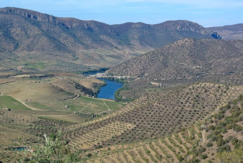 DC 22-0791-098.jpg :: Saga Douro River Cruise, Barca d'Alva, Sapinha:  Sapinha refers to the Miradouro Natural do Alto da Sapinha, a scenic viewpoint in Portugal offering views of the Douro River and its cliffs. It is a popular spot for its impressive, sweeping vistas, which are especially beautiful for birdwatching and visualizing the border between Portugal and Spain. The viewpoint is accessible by road, located near Figueira de Castelo Rodrigo, and is known for the breathtaking views it provides of the river valley. Photo taken 31/08/2022