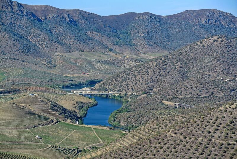 DC 22-0791-099.jpg :: Saga Douro River Cruise, Barca d'Alva, Sapinha:  Sapinha refers to the Miradouro Natural do Alto da Sapinha, a scenic viewpoint in Portugal offering views of the Douro River and its cliffs. It is a popular spot for its impressive, sweeping vistas, which are especially beautiful for birdwatching and visualizing the border between Portugal and Spain. The viewpoint is accessible by road, located near Figueira de Castelo Rodrigo, and is known for the breathtaking views it provides of the river valley. Photo taken 31/08/2022
