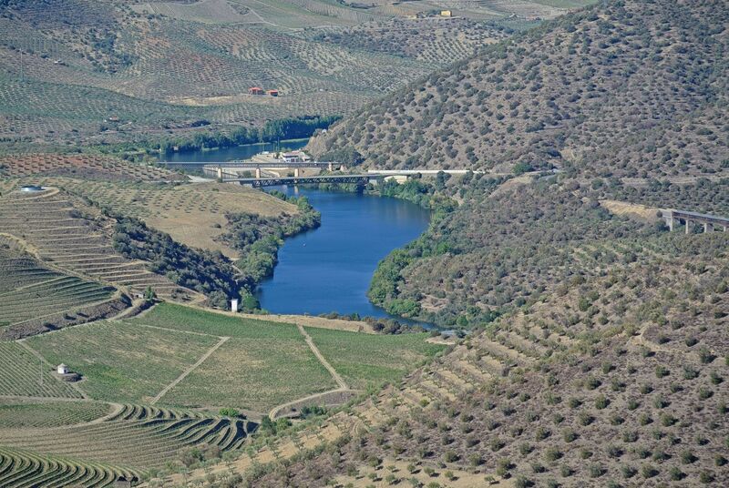 DC 22-0791-100.jpg :: Saga Douro River Cruise, Barca d'Alva, Sapinha:  Sapinha refers to the Miradouro Natural do Alto da Sapinha, a scenic viewpoint in Portugal offering views of the Douro River and its cliffs. It is a popular spot for its impressive, sweeping vistas, which are especially beautiful for birdwatching and visualizing the border between Portugal and Spain. The viewpoint is accessible by road, located near Figueira de Castelo Rodrigo, and is known for the breathtaking views it provides of the river valley. Photo taken 31/08/2022